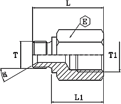 Adaptor FI-FE Gas