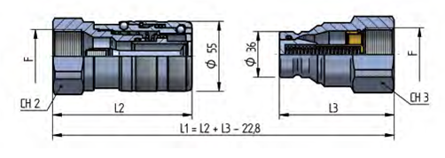 PLT4 DN30 – BG 5 – ISO 25