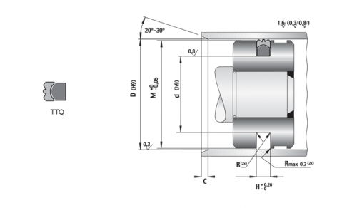 Etanșare pentru piston TTQ